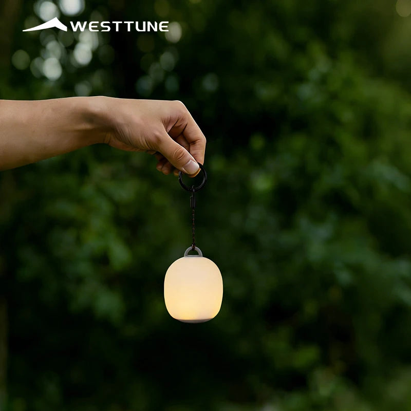 Mini Egg Shaped Rechargeable LED Camping Lantern Silicone Ambience Light