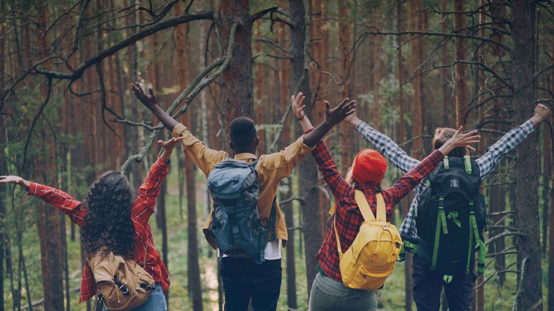 Friends hiking together through natural forest trail